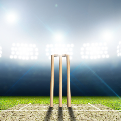 cricket premium product cover photo